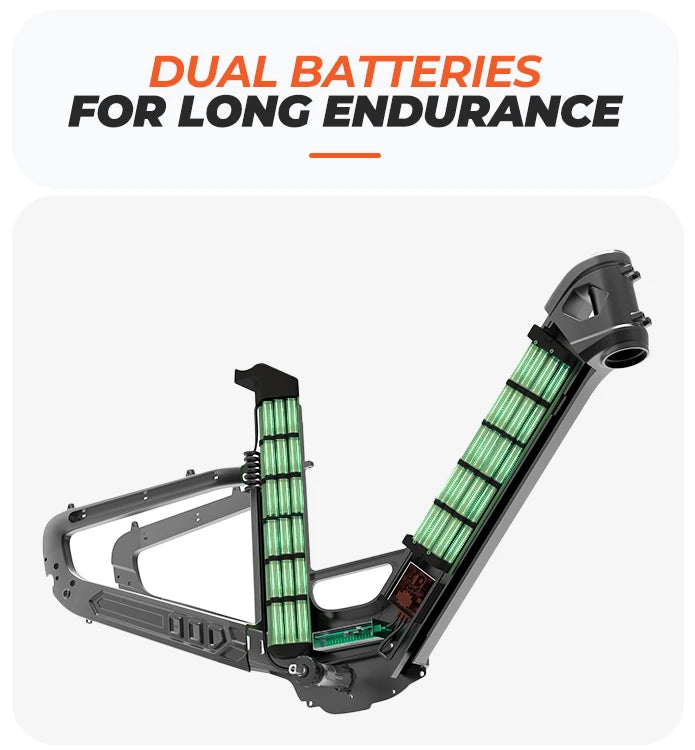 Dual battery 900W Carbon fiber frame E-bike 48V 19.2AH 26" E-Mountain Bike City