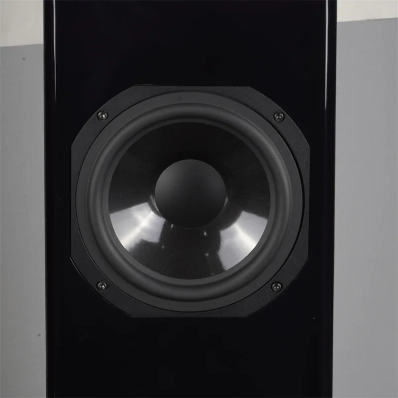 AURUM CANTUS Harmony Mini DSP Electronic Frequency Division Active HIFI Speaker 3 Way 3 Unit 3 Power Amplifier