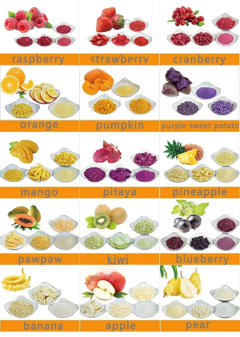 2025 Wholesale Electric Food Freeze Dryer Machine Made in China for Fruit and Vegetable Processing Industry TI Gear Components