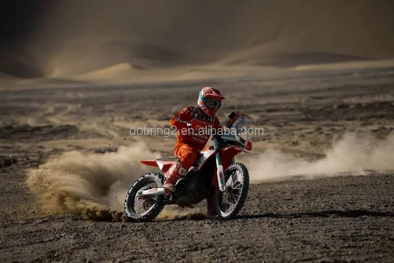 2025 Arctic Leopard E-X 800 800Nm Electric Motorcycle Powerful Mountain Bike Genre 115km/h