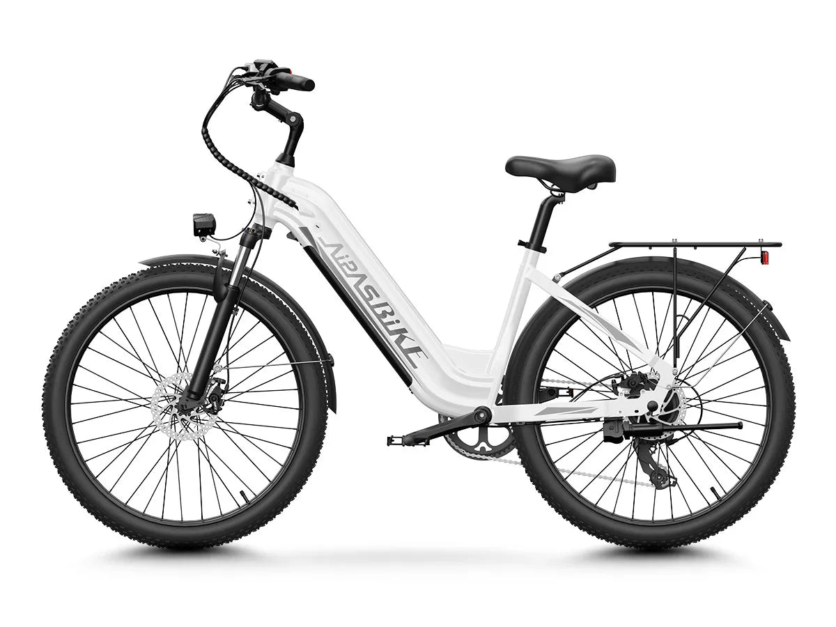 24" Fat Tire Electric Bike 48V 1100W Peak 28MPH Adult Mountain Commuter E-Bike