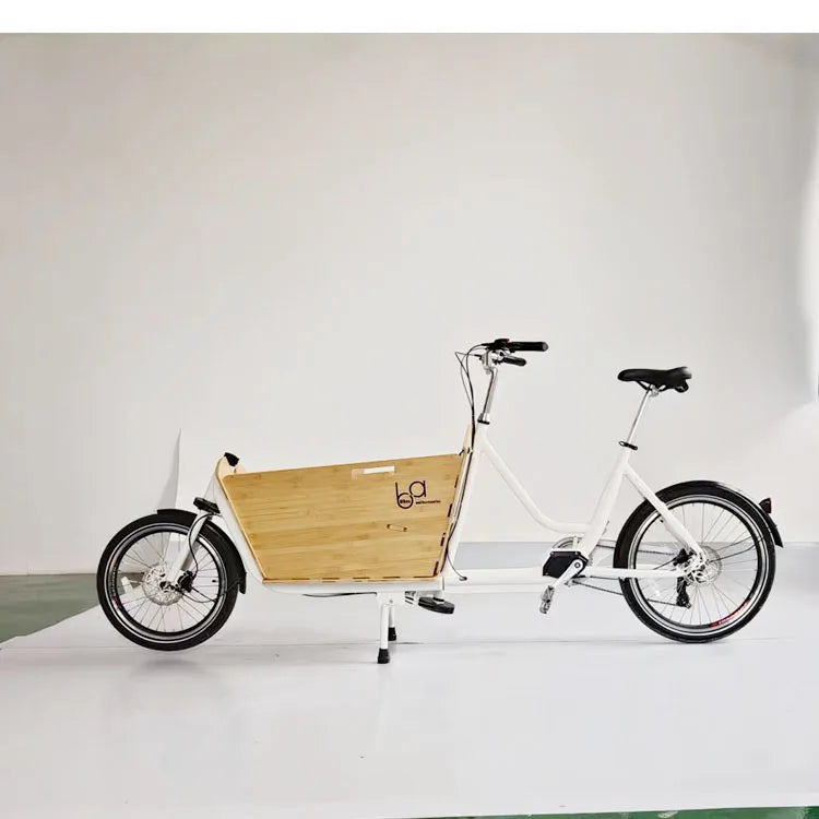 20'' Big Volume Two Wheels Pets Kids Carrier Goods Electric Bicycle Long Family Cargo Ebike Cargo Bike Electric