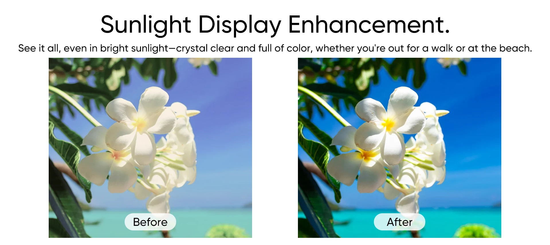 Original Global Version HONOR 400 Pro 5G Smartphone 200MP Camera Snapdragon 8 Gen 3 6.7'' AMOLED Screen 100W Wired 50W Wireless