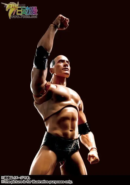 BANDAI Original S.H.Figuarts WWE The Rock (Dwayne Johnson) Movable Action Figure Collectible Model Toy Gift for Boys