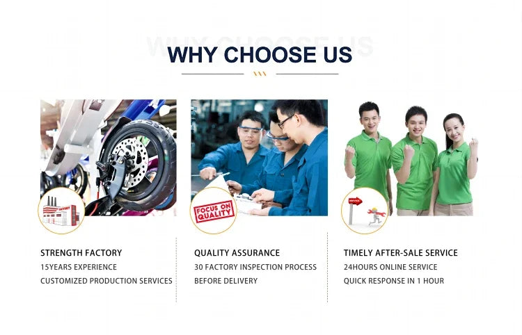 High-end High Quality 36V Mid Drive Electric City Bike 250W Power 48V Snow Model 15ah Cheap China Mid Motor Central Positi