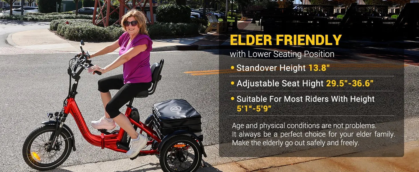 -310 Folding 3Wheel E-bike Electric Trike 750W 20Ah 90MI Adult