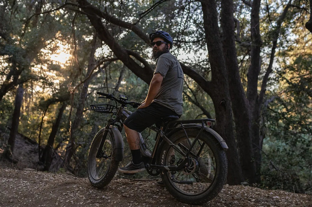26" MOUNTAIN-ELECTRIC BIKE 750W 52V 17AH UP TO 32KM/H E-BIKE & Torque sensor