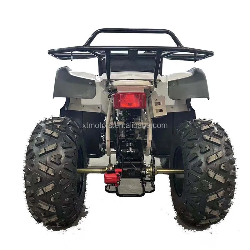 Professional Manufacturing ATV 200cc Off Road All Terrain Vehicle Powerful New Style    with High Quality