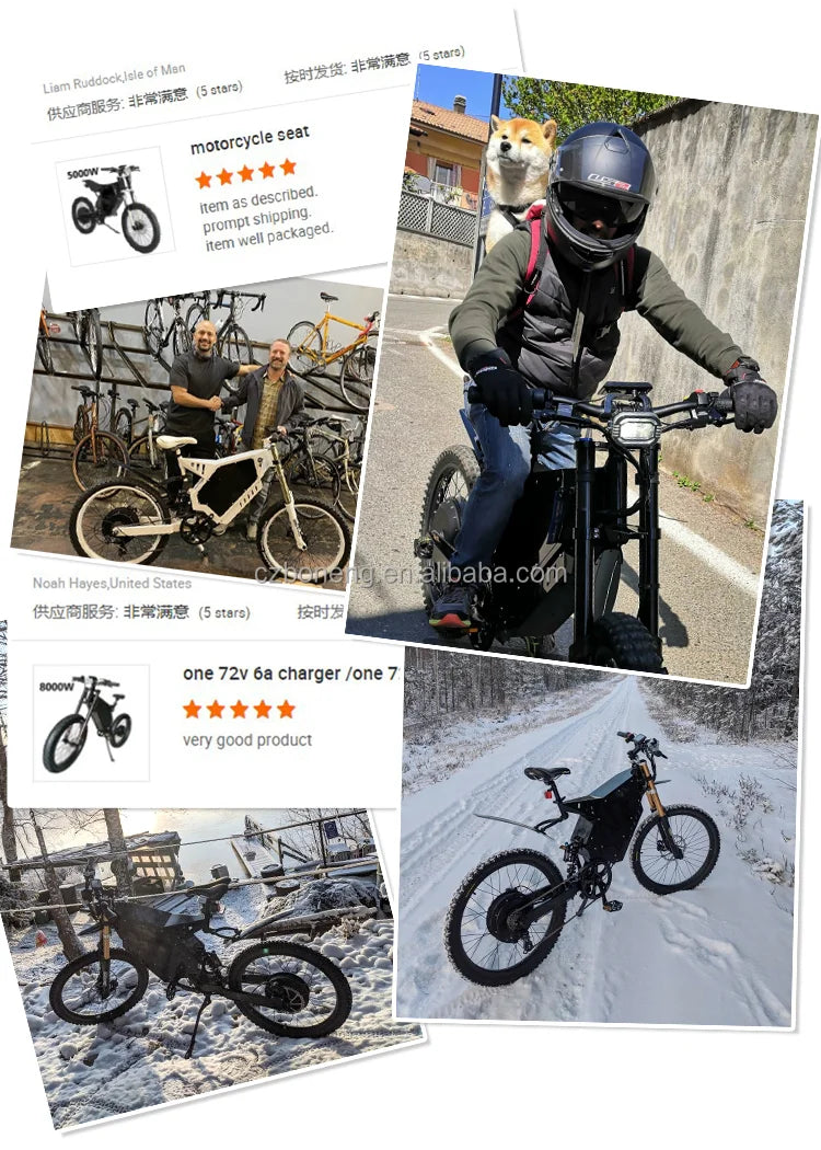 Modification New Arrival 7 speed gears 45Ah electric bicycle battery  E bike bicycle(old)  19"  motorcycle tires Ebike  for men