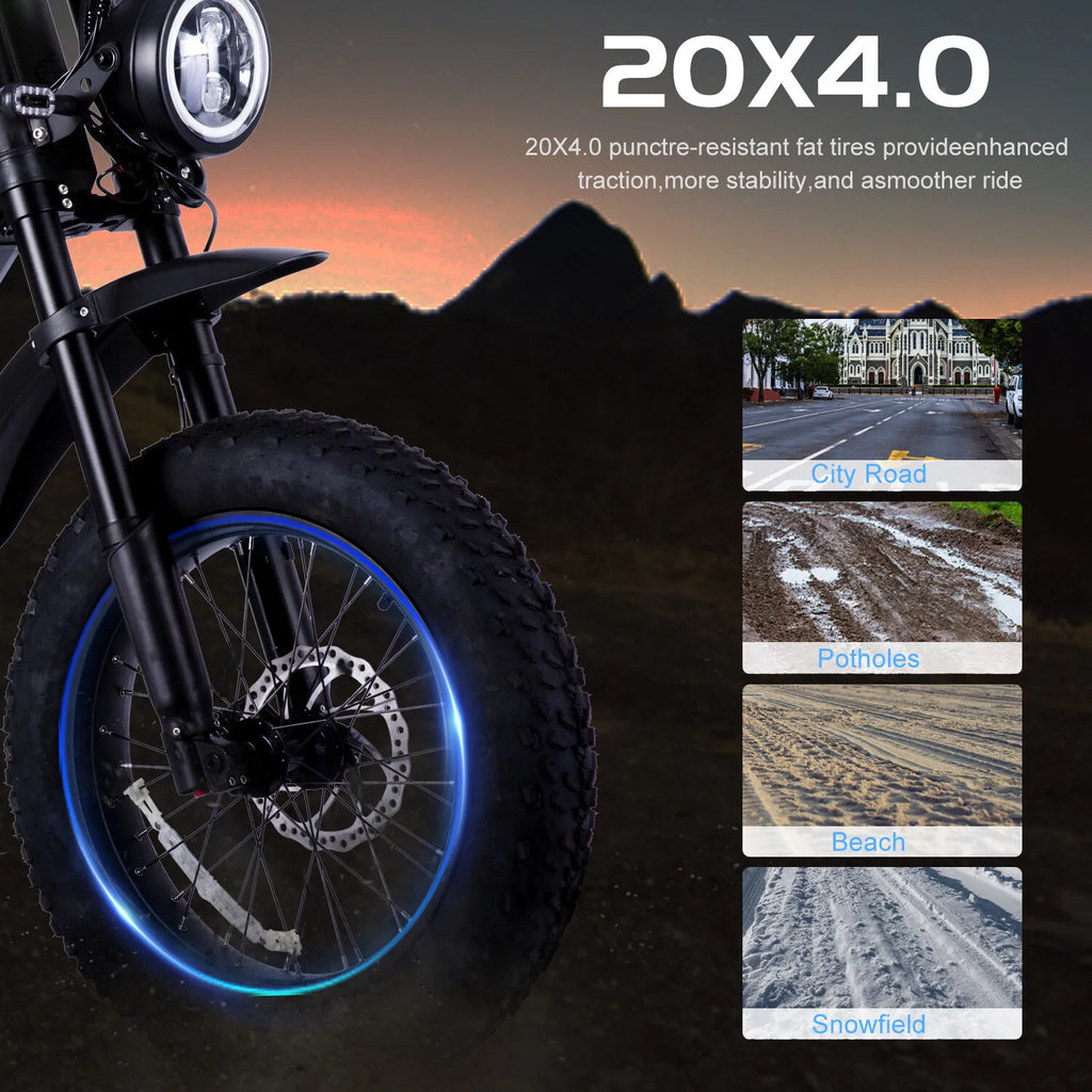 New 20" ELECTRIC BIKE 1000W 52V 20AH UP TO 32KM/H E-BIKE & Torque sensor  USA
