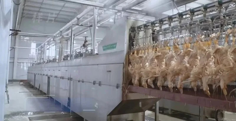 Custom 1000-2500 CE Approved Chicken Duck Poultry Slaughtering Production Line Halal Slaughter House Machine