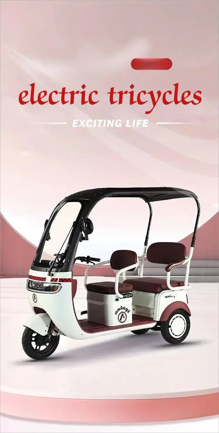 cargo electric tricycle  tricycles for adults 3 wheel motorcycle   800W