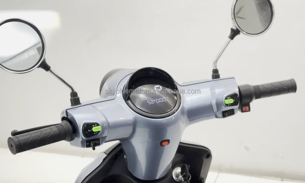 2025 New Den Electric Moped Scooter 1000W Electric 25Kmph Speed  OEM Mobility Scooter For Adults 4 Wheels