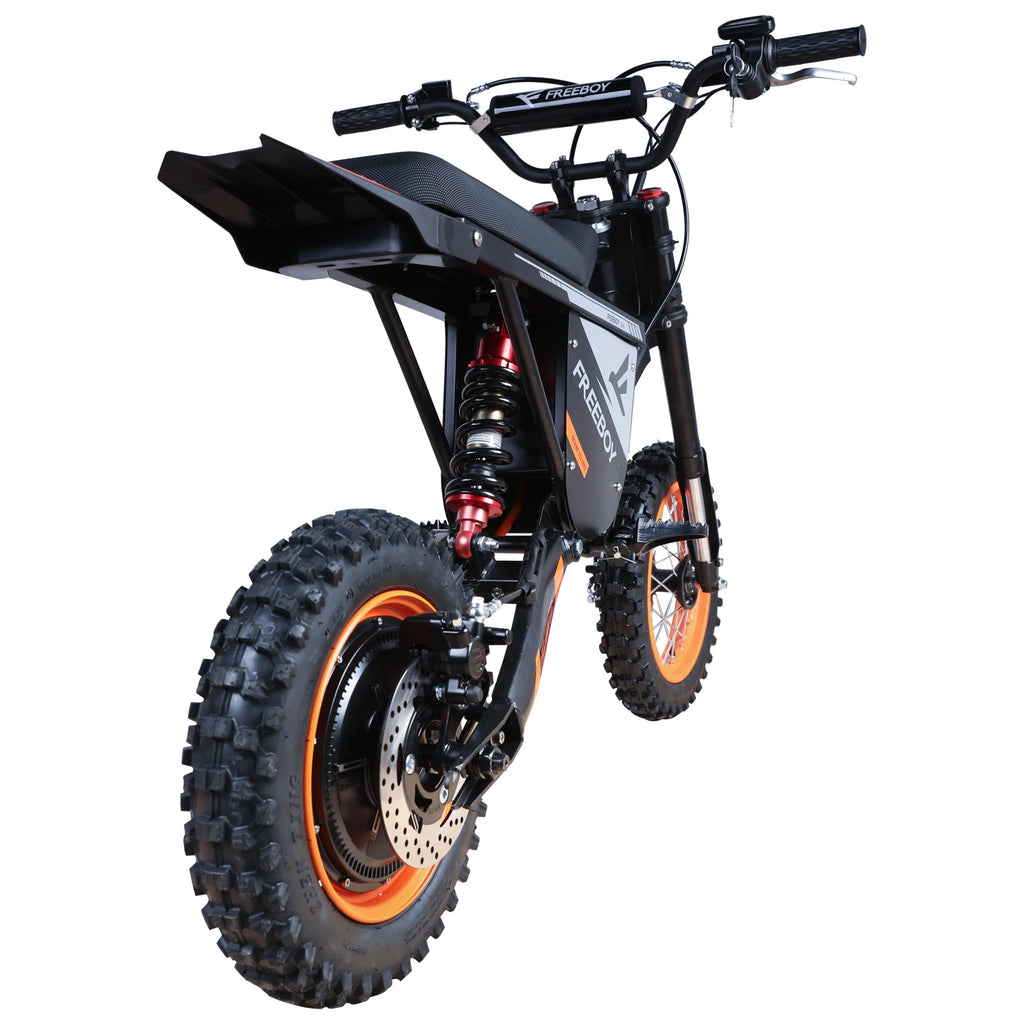 FREEBOY Y66 E-bike 3000W Motor 48V30AH Battery Electric Bike Max Speed: 55KM/H 12/10-In All-terrain Fat Tires Electric Bicycle