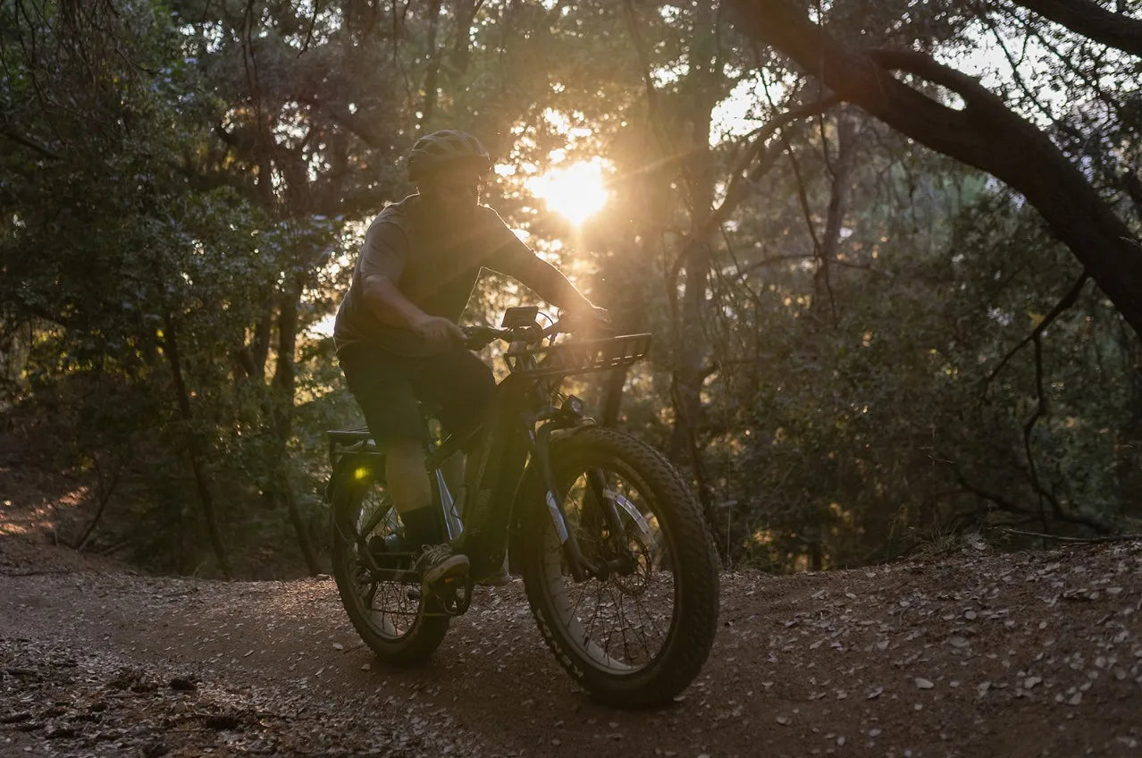 26" MOUNTAIN-ELECTRIC BIKE 750W 52V 17AH UP TO 32KM/H E-BIKE & Torque sensor