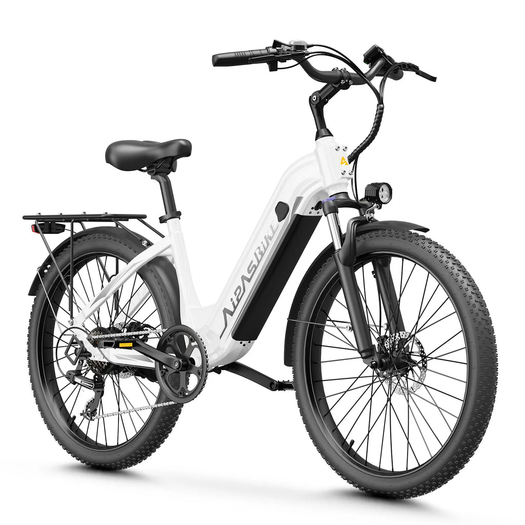 24" Fat Tire Electric Bike 48V 1100W Peak 28MPH Adult Mountain Commuter E-Bike