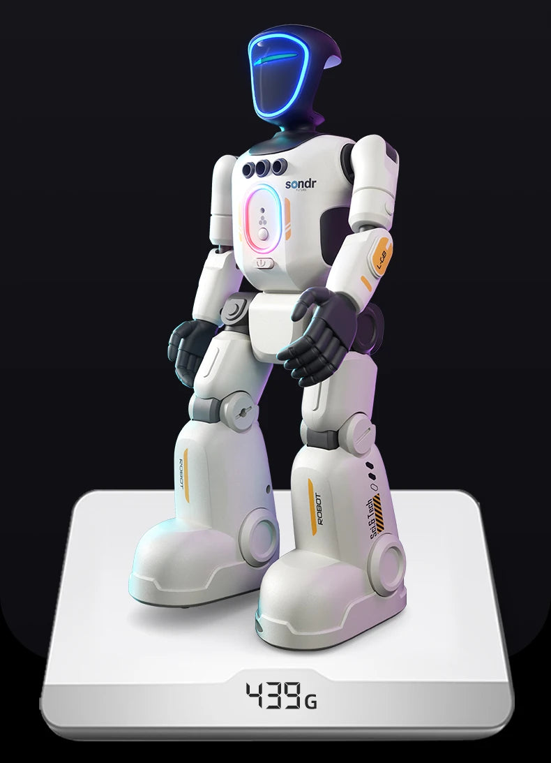 Smart Programming Humanoid Gesture Sensing Remote Control Robot 2.4G Joint Mobility Breathing Light Recording Function RC Robot