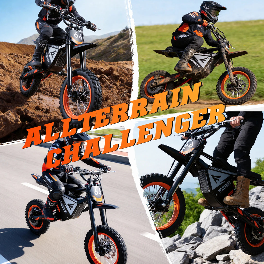 FREEBOY Y66 E-bike 3000W Motor 48V30AH Battery Electric Bike Max Speed: 55KM/H 12/10-In All-terrain Fat Tires Electric Bicycle