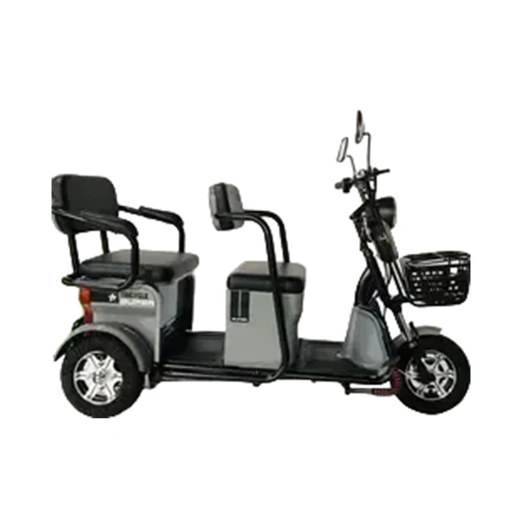 2024 Hot Sale 3 Wheel Electric Motorcycle Three Wheel Cargo Bike