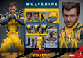 Hottoys Wolverine 1/6 Scale Action Figure MMS754 Deluxe Edition Deadpool And Wolverine Marvel Movie Collectible For Adult Fans