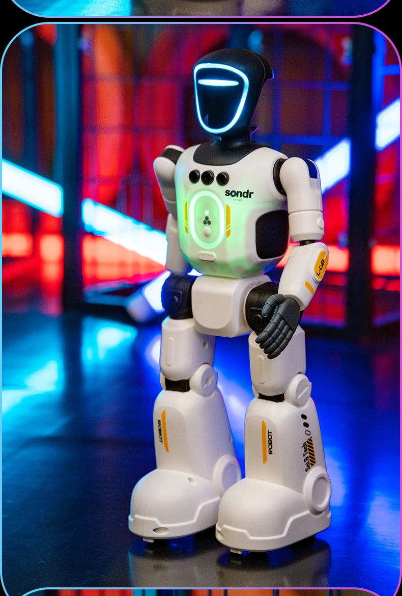 Smart Programming Humanoid Gesture Sensing Remote Control Robot 2.4G Joint Mobility Breathing Light Recording Function RC Robot