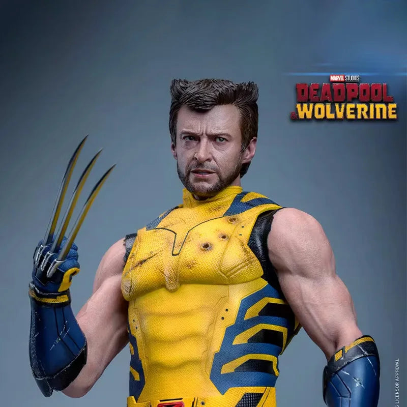 Hottoys Wolverine 1/6 Scale Action Figure MMS754 Deluxe Edition Deadpool And Wolverine Marvel Movie Collectible For Adult Fans