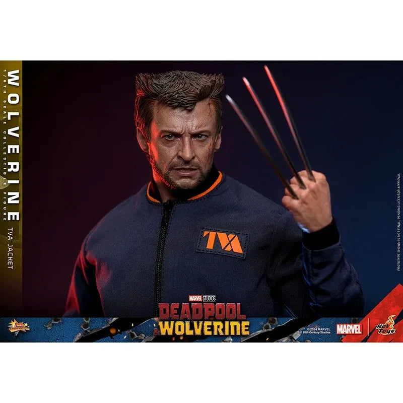 100%  Original HT Toys 1/6 MMS756 Deadpool Wolverine Wolverine TVA Jacket Version Anime Action Collection Figures