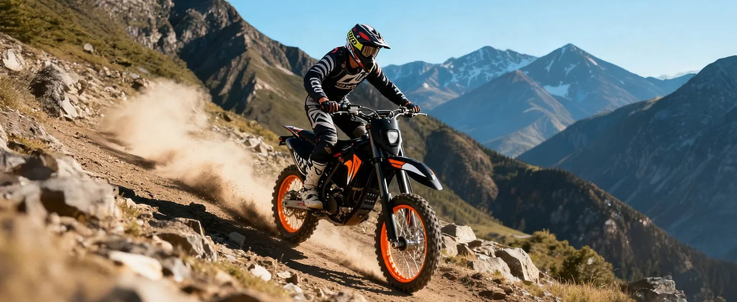Fat E-Bike 60V 28Ah Off-Road E-Motorcycle 50 MPH 4000W Electric Dirt Bike US
