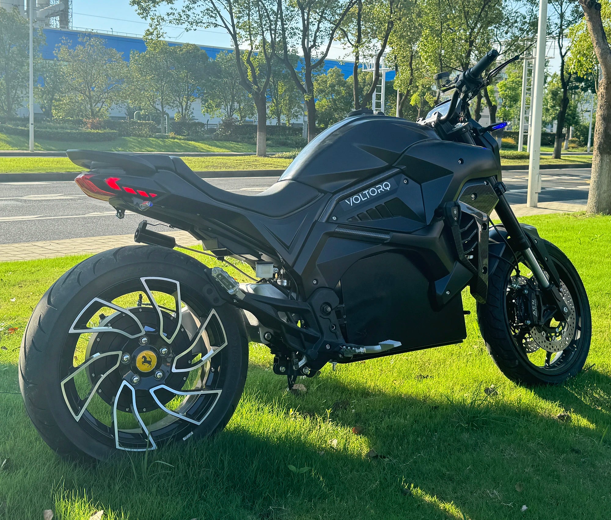 New Hot Selling Electric Racing Motorcycles 8000w Power Motor with Lithium Battery Adult Electric Motorcycle