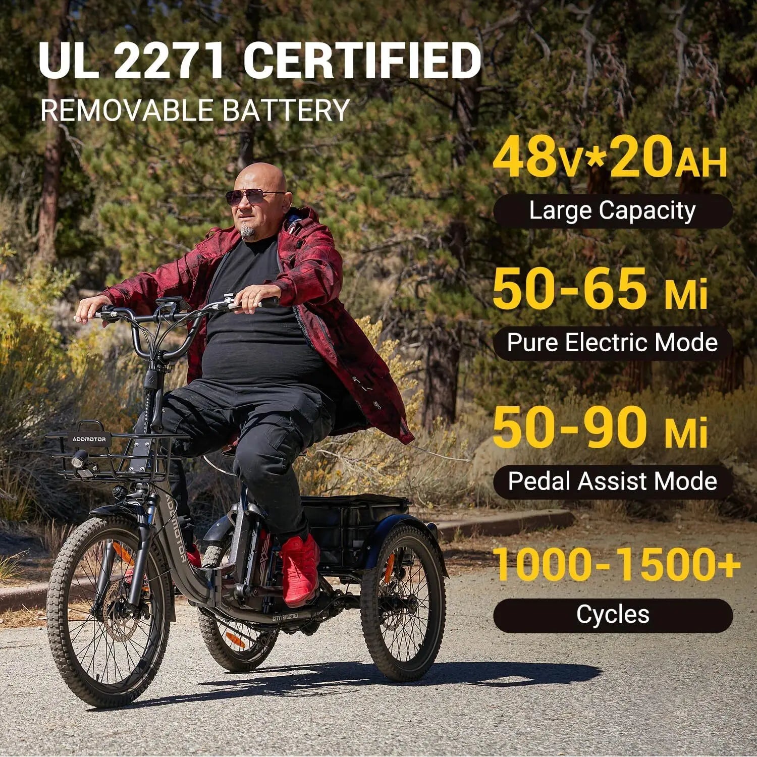 -310 Folding 3Wheel E-bike Electric Trike 750W 20Ah 90MI Adult