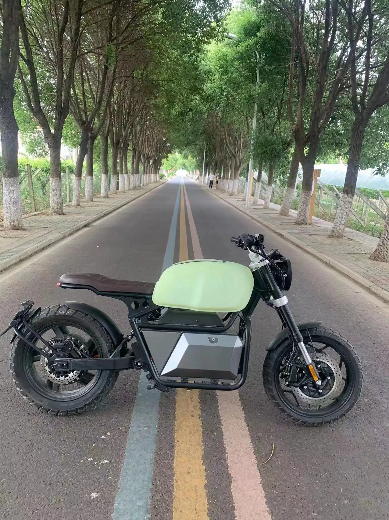 ER200 DDP Wuxi Advanced Technology 4000w 72v 60ah Retro Style Electric Motorcycle