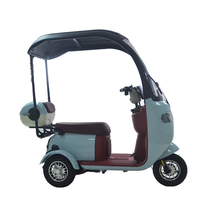 High Quality 2024 Hot Selling Electric Tricycle Scooter Electric Bike High Power Lady Electric Scooter with Roof