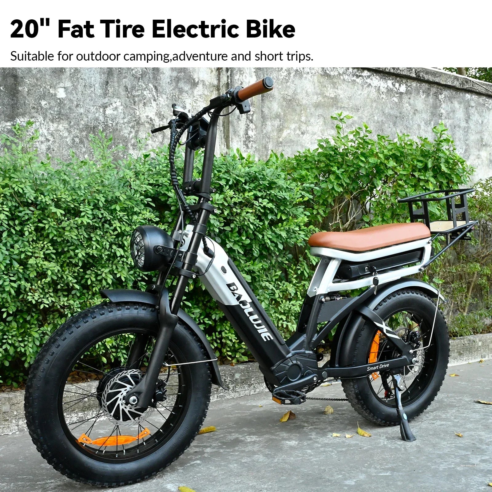 Baolujie DP2033 Electric Bicycle 2000W Dual Motor 48V30AH Lithium Battery E-bike 20*4 Inch Fat Tire Mountain Cargo Electric Bike
