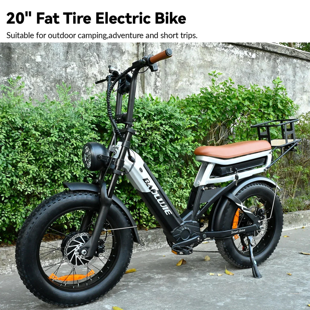 Baolujie DP2033 Electric Bicycle 2000W Dual Motor 48V30AH Lithium Battery E-bike 20*4 Inch Fat Tire Mountain Cargo Electric Bike