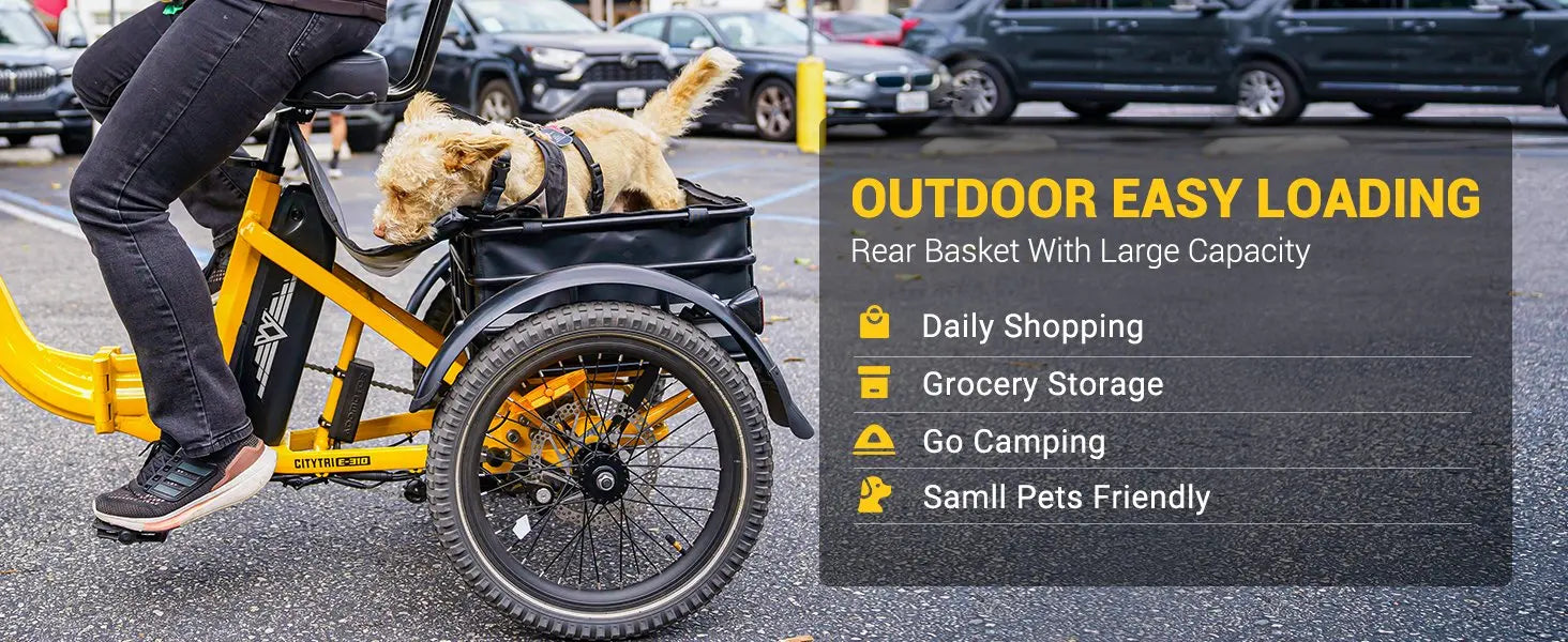 -310 Folding 3Wheel E-bike Electric Trike 750W 20Ah 90MI Adult