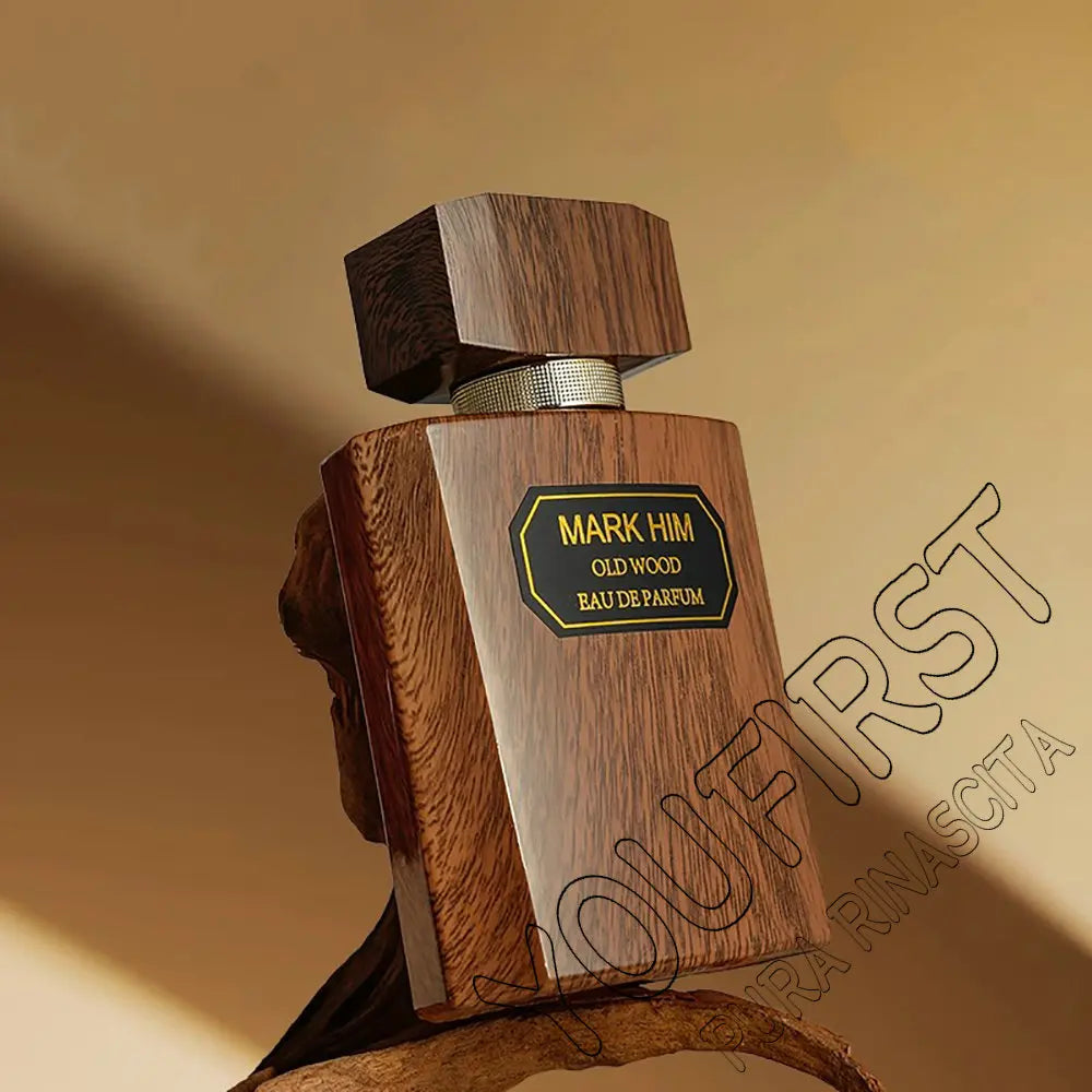 Top Quality Cologne Perfume Men 100ml Pheromone Perfumes Hombre Fresh Natural Woody Scent Spray Homme Profumo Uomo Charming Man