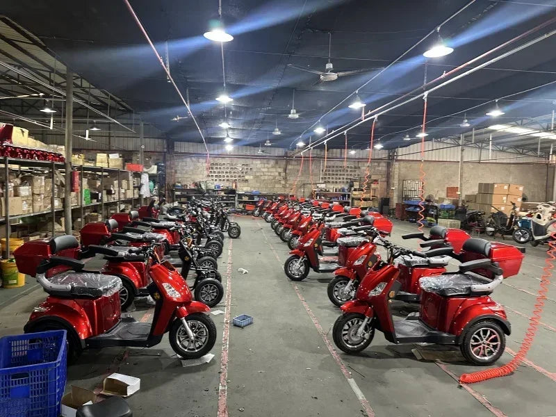 2025 New Den Electric Moped Scooter 1000W Electric 25Kmph Speed  OEM Mobility Scooter For Adults 4 Wheels